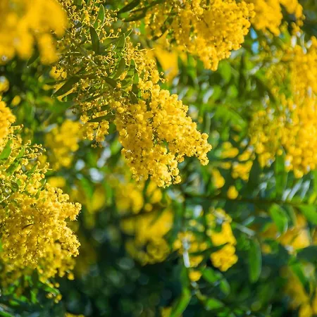 Sr040-a60 Appt 4 Personnes St Raphael * Saint-Raphaël